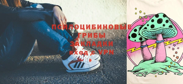амф Краснослободск