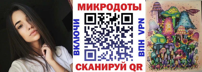 Купить  Неман  Галлюциногенные грибы Psilocybine cubensis 